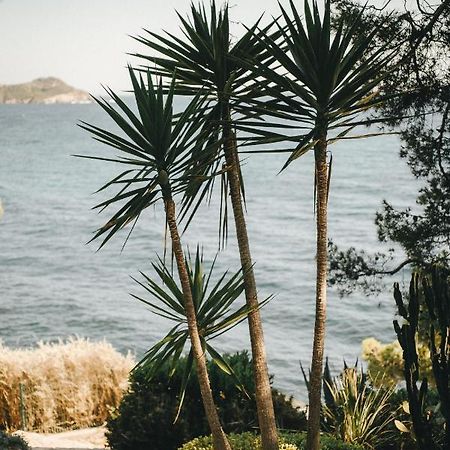 Hotel Provencal Hyeres Exterior photo
