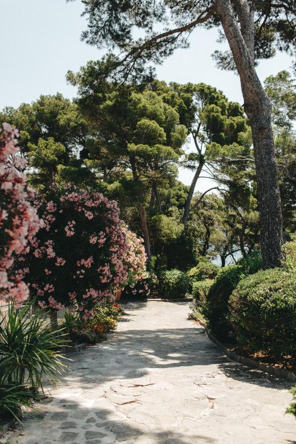 Hotel Provencal Hyeres Exterior photo